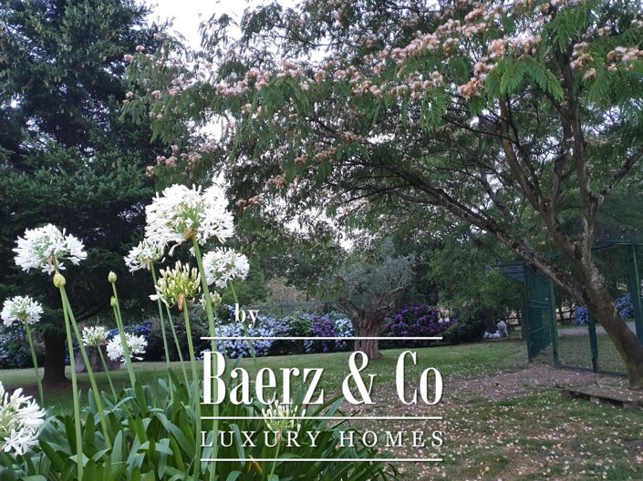 Image No.3-Ferme de 4 chambres à vendre à Santo Tirso