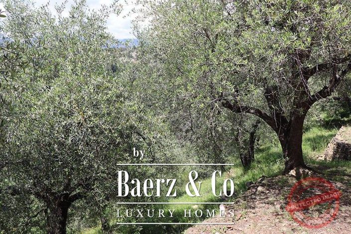 Image No.66-4 Bed Villa for sale