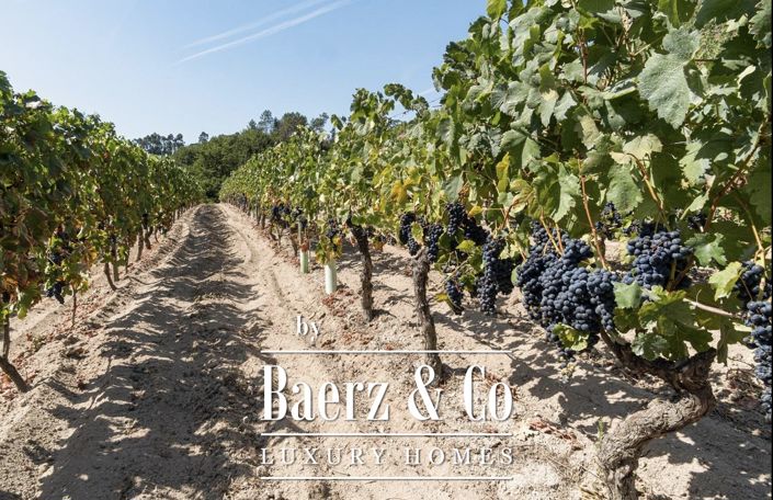 Image No.11-10 Bed Farmhouse for sale