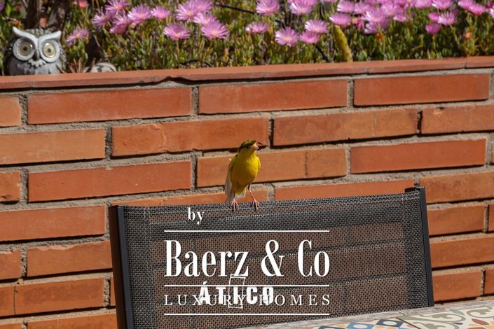 Image No.10-4 Bed Property for sale