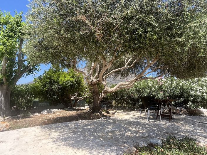 Image No.17-Villa de 5 chambres à vendre à Javea