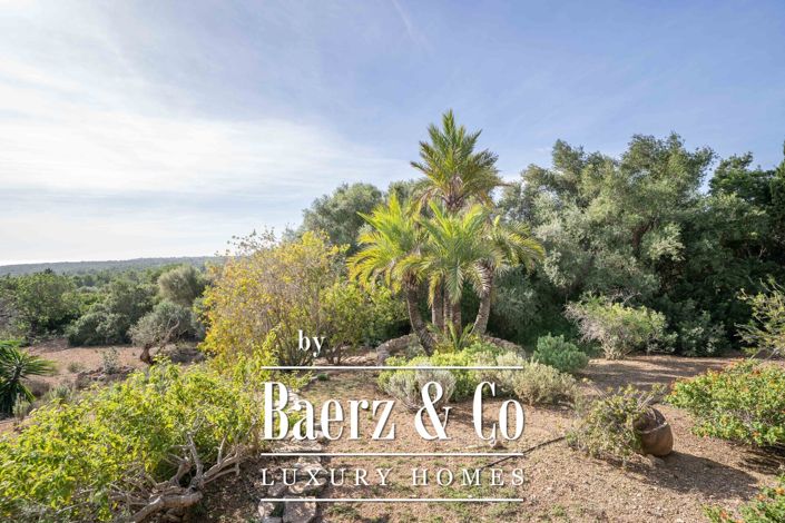 Image No.5-4 Bed Country House for sale