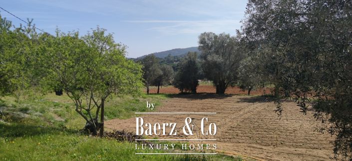 Image No.10-Propriété de 7 chambres à vendre à Espagne