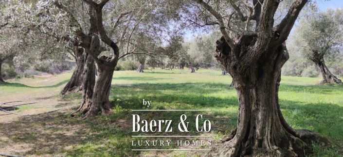 Image No.20-Propriété de 7 chambres à vendre à Espagne