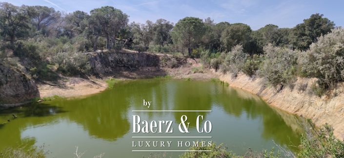 Image No.22-Propriété de 7 chambres à vendre à Espagne