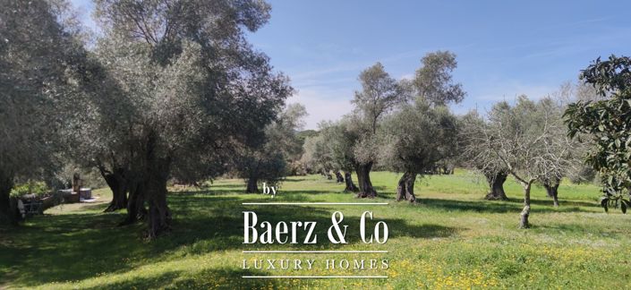 Image No.27-Propriété de 7 chambres à vendre à Espagne