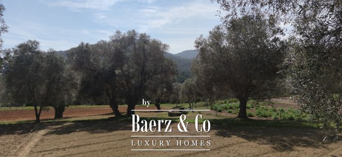 Image No.28-Propriété de 7 chambres à vendre à Espagne