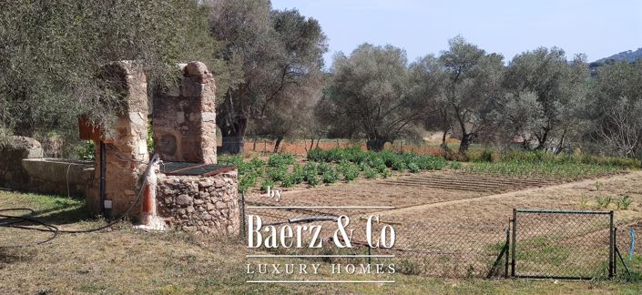 Image No.3-Propriété de 7 chambres à vendre à Espagne