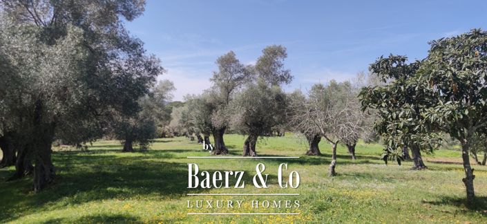 Image No.9-Propriété de 7 chambres à vendre à Espagne