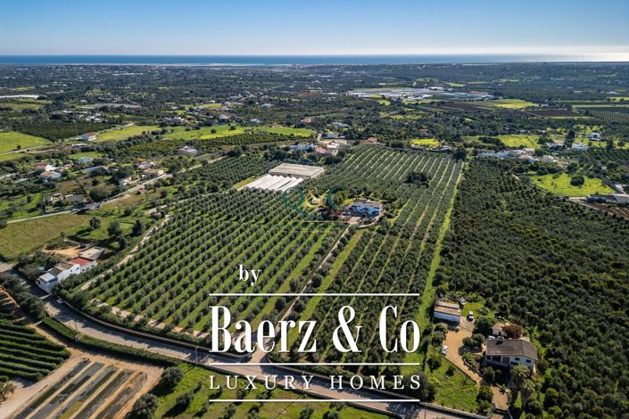 Image No.20-3 Bed Villa for sale