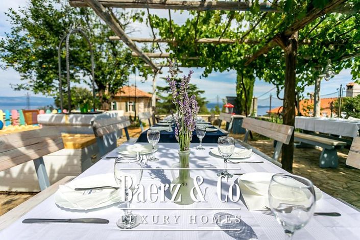 Image No.5-12 Bed House for sale