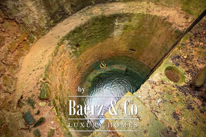 Image No.17-Ferme de 3 chambres à vendre à Moncarapacho