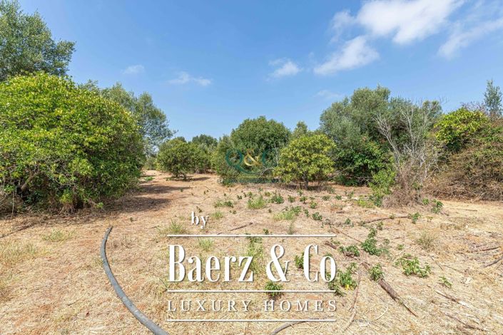 Image No.21-Ferme de 3 chambres à vendre à Moncarapacho