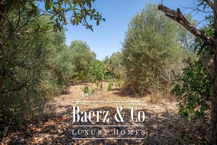 Image No.22-Ferme de 3 chambres à vendre à Moncarapacho