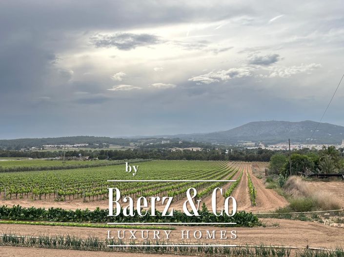 Image No.7-16 Bed Country House for sale