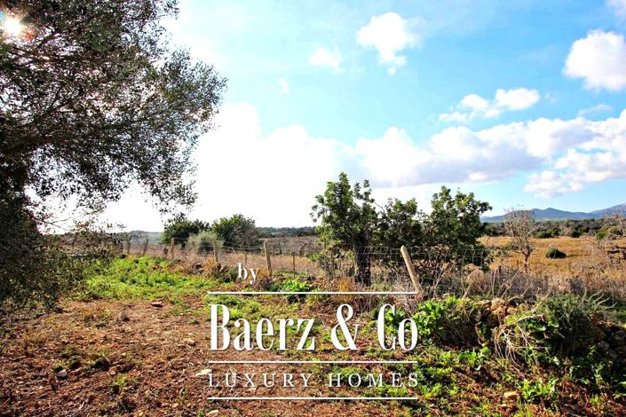 Image No.3-1 Bed Finca for sale
