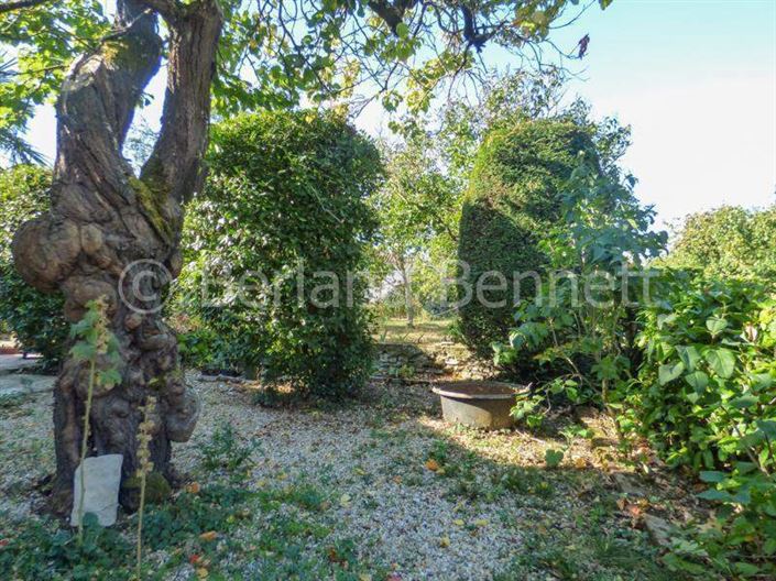 Image No.16-Maison de 3 chambres à vendre à Ruffec