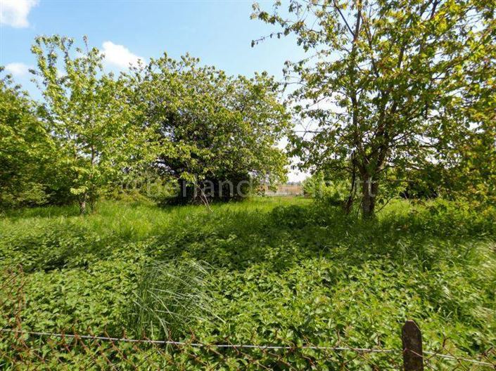 Image No.17-3 Bed House for sale