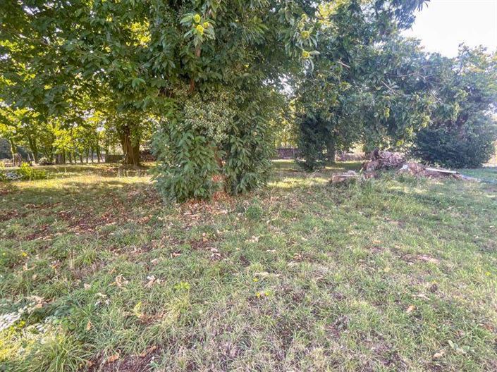 Image No.19-3 Bed House for sale