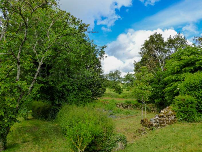 Image No.22-Maison de 3 chambres à vendre à Chaunay