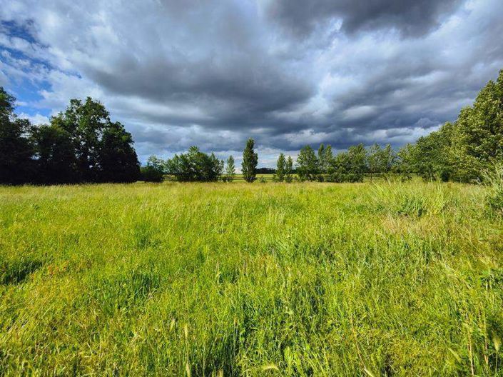 Image No.34-5 Bed House for sale