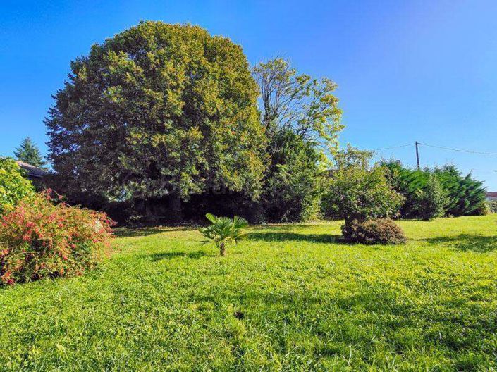 Image No.29-5 Bed House for sale