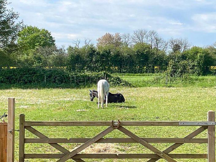 Image No.37-Maison de 3 chambres à vendre à Sauzé-Vaussais