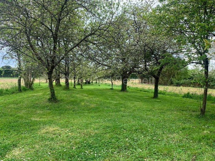 Image No.14-3 Bed House for sale