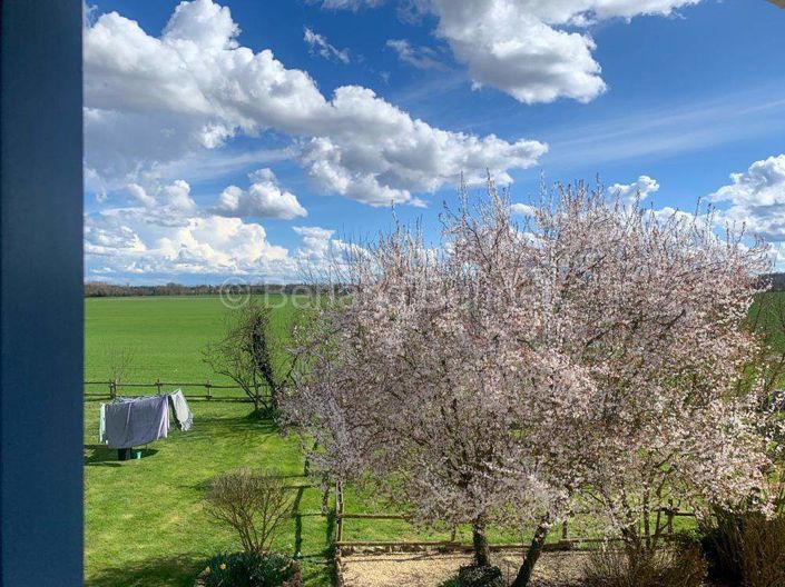 Image No.34-8 Bed House for sale