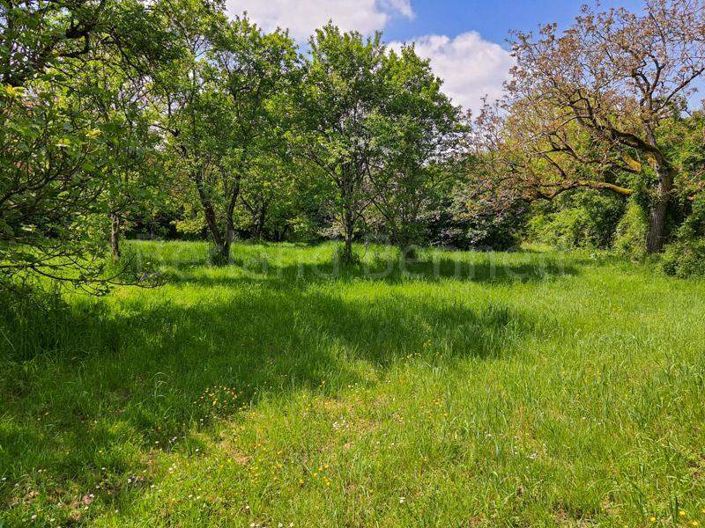 Image No.19-5 Bed House for sale