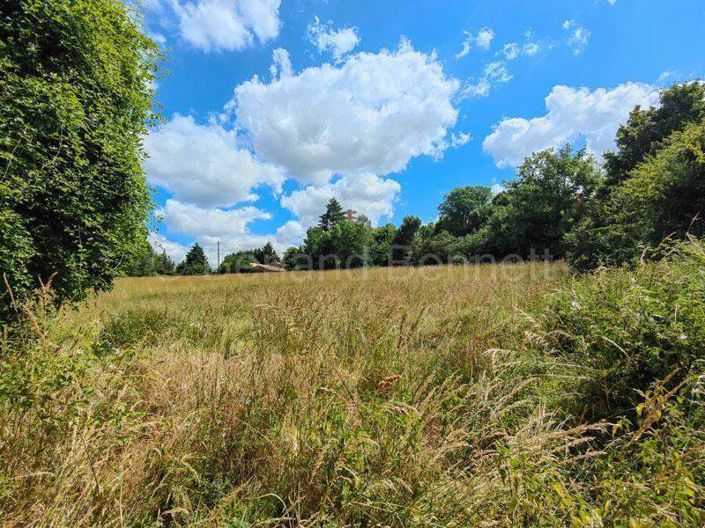 Image No.41-4 Bed House for sale