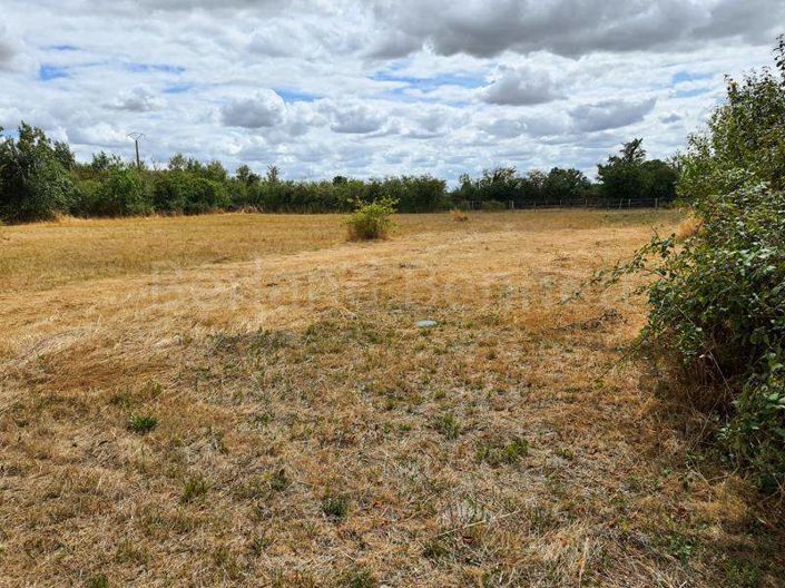 Image No.17-3 Bed House for sale