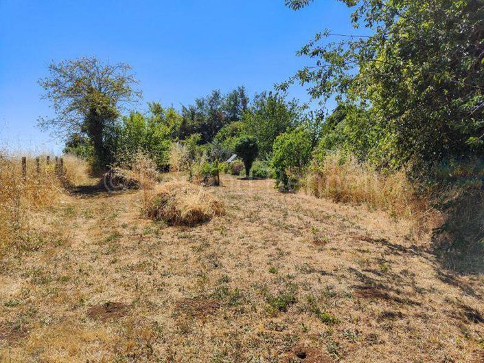 Image No.20-1 Bed House for sale