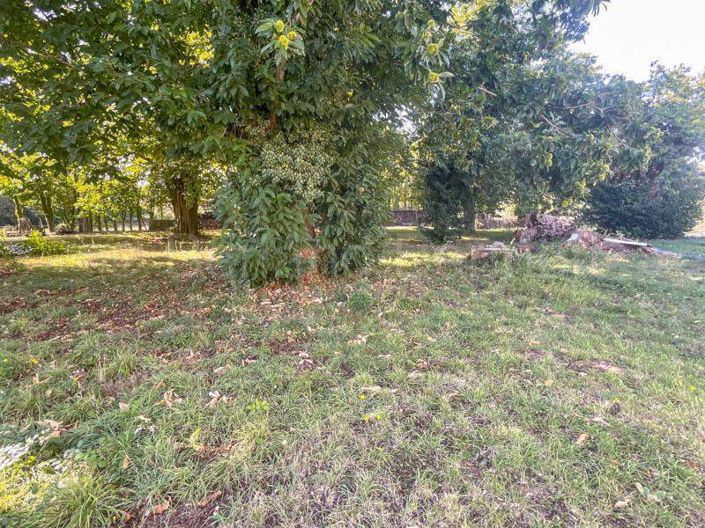 Image No.20-Maison de 3 chambres à vendre à Sauzé-Vaussais