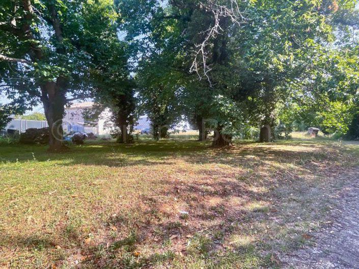 Image No.21-Maison de 3 chambres à vendre à Sauzé-Vaussais