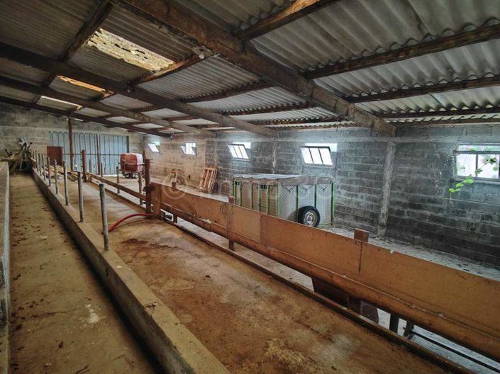 Image No.23-4 Bed House for sale