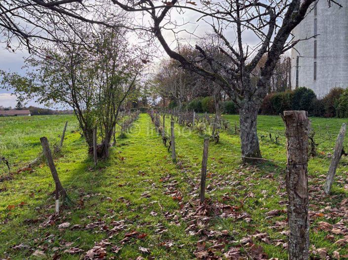 Image No.18-Maison de 3 chambres à vendre à Sauzé-Vaussais
