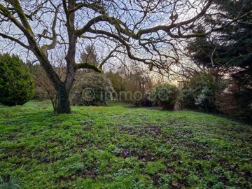 034905c5-11fa-e4ee-01f9-2b860dca6d5d