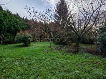 eadeabd6-e5e2-7d55-eee3-2dc30836b2f5