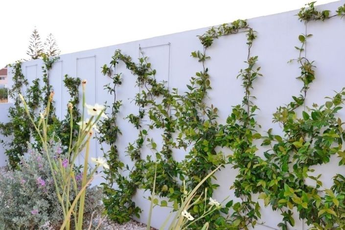 Image No.21-3 Bed House for sale