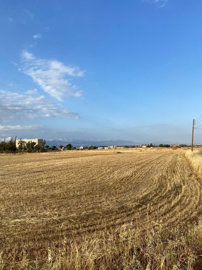 hd1080