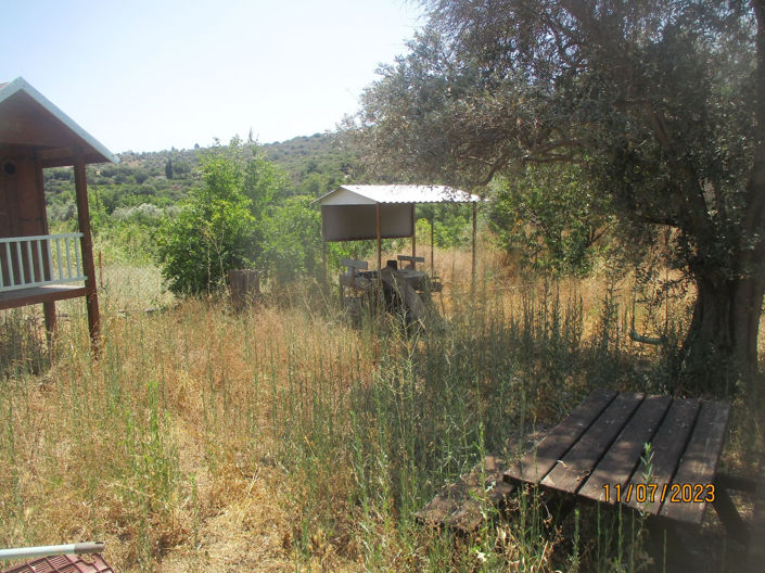 Image No.23-Maison de 5 chambres à vendre à Goudhi