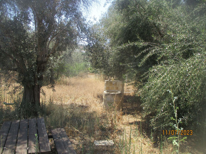 Image No.24-Maison de 5 chambres à vendre à Goudhi