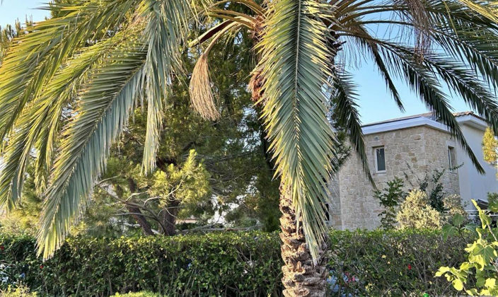 Image No.21-Villa de 3 chambres à vendre à Lachi