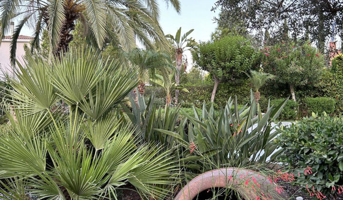 Image No.8-Villa de 3 chambres à vendre à Lachi