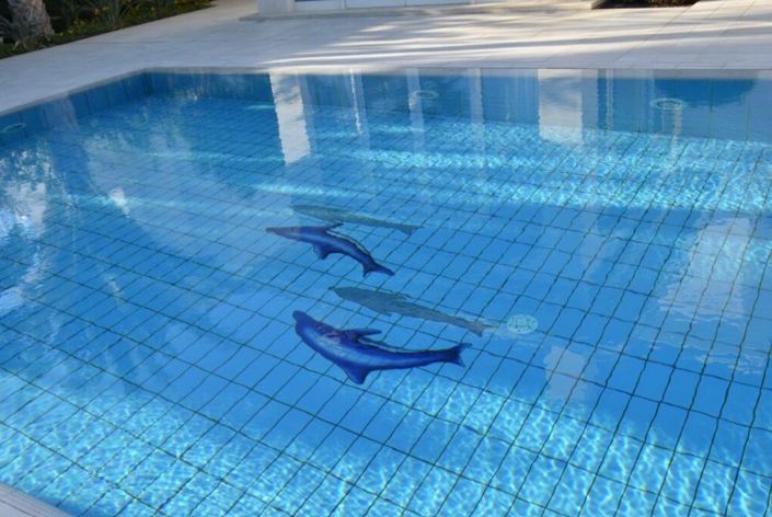 Image No.18-5 Bed House for sale