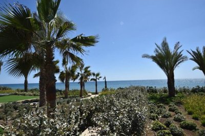 678e9167-e12c-4240-9d5d-a63614f1422c