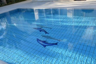 79a2ac35-770a-4363-b1c3-5a0f3c32cec1