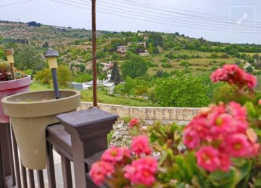 d24cf350-3304-453b-87fb-12191bbe7e8d