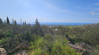 bac0cf44-b6f5-45c7-8dab-3b8b7f2a74f5